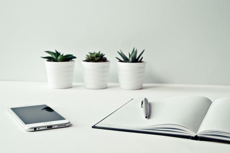 Modern Succulent Designs